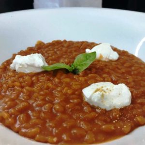 orzotto mantecato rapa rossa e burrata